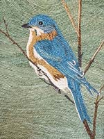 Bluebird - click to view larger image...