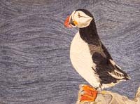 Puffin - click to view larger image...