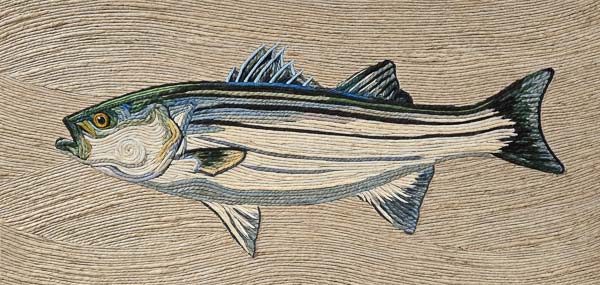 Striper