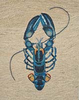 Blue Lobster - One in a Million! - click to view larger image...