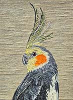 Cockatiel - click to view larger image...