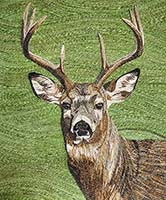 Deer 2 - click to view larger image...